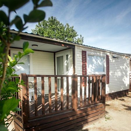 Bungalows Zaragoza Camping Eksteriør billede