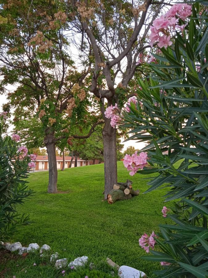 Bungalows Zaragoza Camping Eksteriør billede