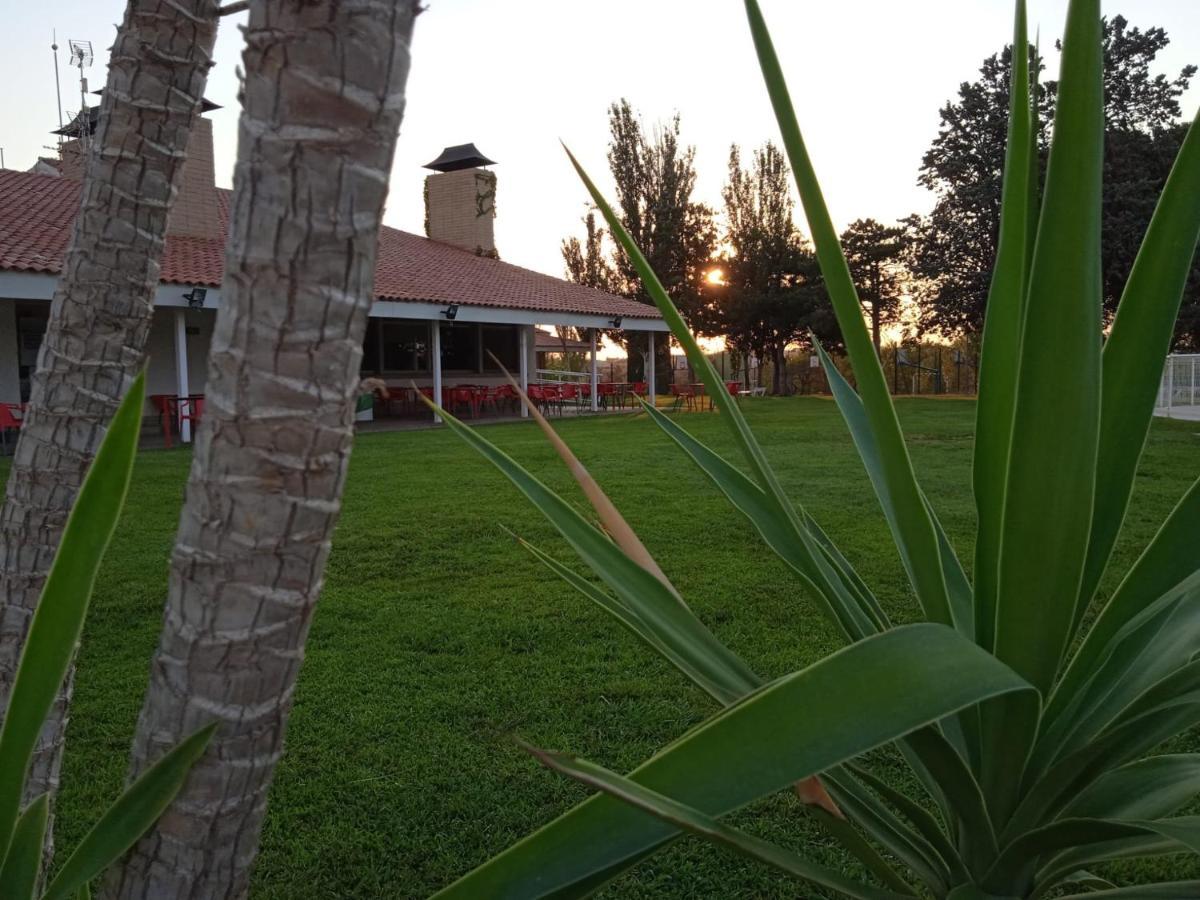 Bungalows Zaragoza Camping Eksteriør billede
