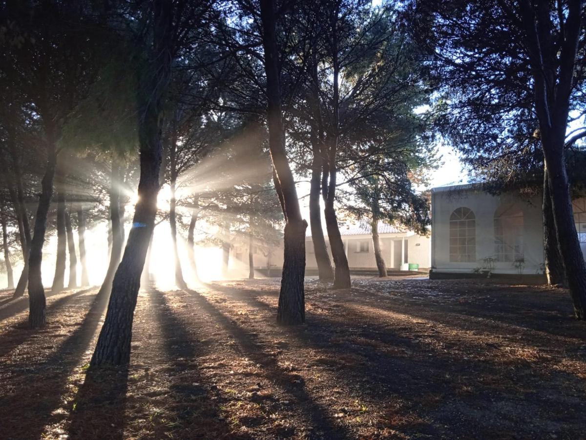 Bungalows Zaragoza Camping Eksteriør billede