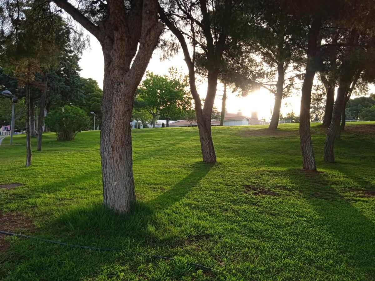 Bungalows Zaragoza Camping Eksteriør billede